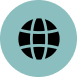 icon-website
